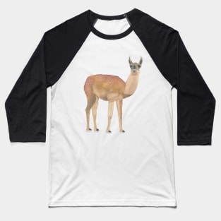 LLAMA - LLAMA CLOSE UP - From the Andes in Peru Baseball T-Shirt